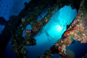 677_123_WreckDiverAndFish_DSC0057_1